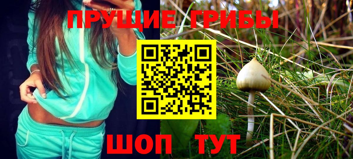 Галлюциногенные грибы Psilocybe  Вход с VPN  Кореновск 